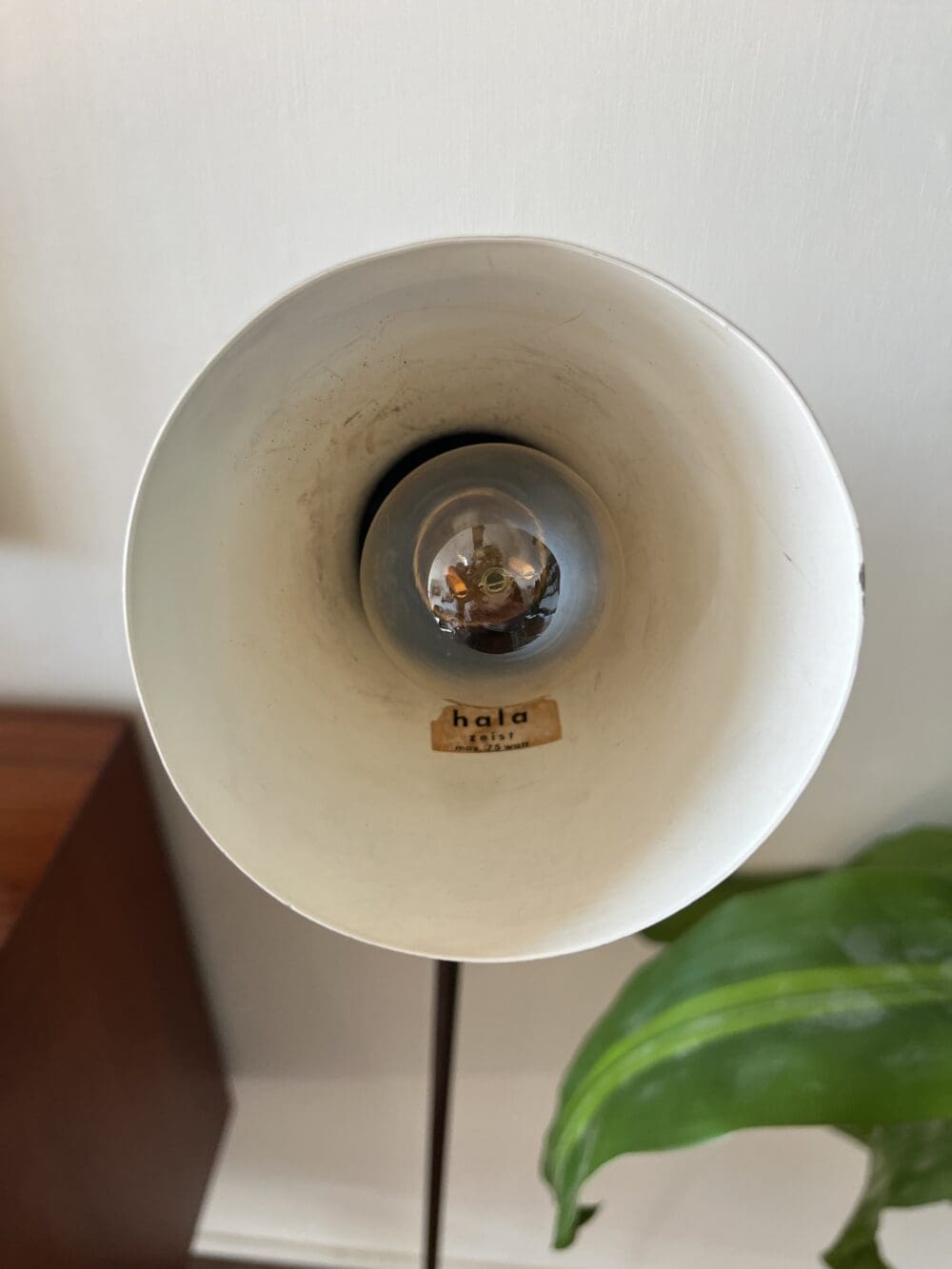 Hala Zeist Model 645 Brown